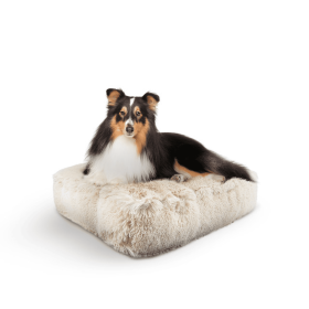 Rectangle Bed (Color: Blondie, size: SM- 24" x 24")