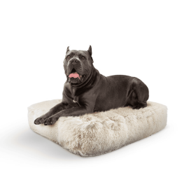 Rectangle Bed (Color: Blondie, size: XL - 56" x 41")